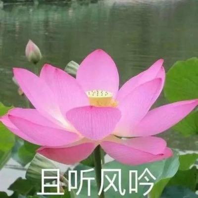 原武汉铁路局副局长赵宏刚接受审查调查
